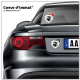 Stickers autocollant Coeur J'aime Corsica - Blason sur véhicule