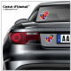 Sticker autocollant Coeur J'aime Gascogne - Drapée sur véhicule