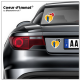 Sticker autocollant Coeur J'aime le Nord-Pas de Calais - Ch'Ti sur véhicule