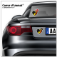 Sticker autocollant Coeur J'aime la Belgique - Diables Rouges sur véhicule