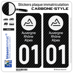 2 Autocollants plaque immatriculation Auto 01 Auvergne-Rhône-Alpes - LT Carbone-Style