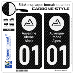 2 Stickers plaque immatriculation Auto 01 Auvergne-Rhône-Alpes - LT Carbone-Style