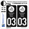 2 Autocollants plaque immatriculation Auto 03 Auvergne-Rhône-Alpes - LT Carbone-Style