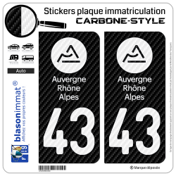 Autocollant Plaque Immatriculation Région 13 PACA - Style Carbone Blanc - 2 Stickers Vinyle Haute Résistance
