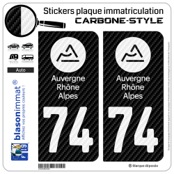 2 Autocollants plaque immatriculation Auto 74 Auvergne-Rhône-Alpes - LT Carbone-Style