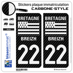 2 Autocollants plaque immatriculation Auto 22 Bretagne - LT Carbone-Style