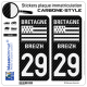 2 Autocollants plaque immatriculation Auto 29 Bretagne - LT Carbone-Style