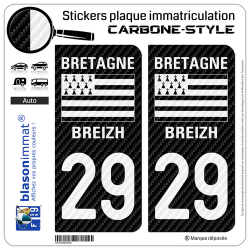 2 Autocollants plaque immatriculation Auto 29 Bretagne - LT Carbone-Style