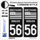 2 Stickers plaque immatriculation Auto 56 Bretagne - LT Carbone-Style