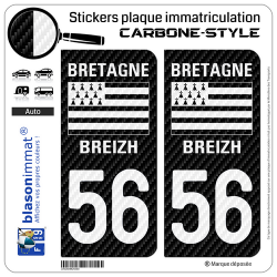 2 Stickers plaque immatriculation Auto 56 Bretagne - LT Carbone-Style