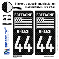 2 Autocollants plaque immatriculation Auto 44 Bretagne - LT Carbone-Style