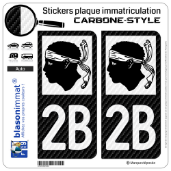 2 Stickers plaque immatriculation Auto 2B Corse - LT Carbone-Style
