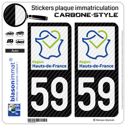 2 Stickers plaque immatriculation Auto 59 Hauts-de-France - LT Carbone-Style