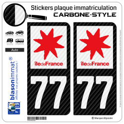 2 Stickers plaque immatriculation Auto 77 Île-de-France - LT Carbone-Style