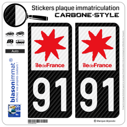 2 Stickers plaque immatriculation Auto 91 Île-de-France - LT Carbone-Style