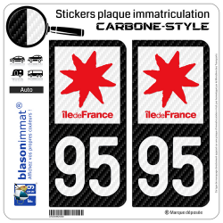 2 Stickers plaque immatriculation Auto 95 Île-de-France - LT Carbone-Style
