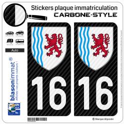 2 Stickers plaque immatriculation Auto 16 Nouvelle-Aquitaine - LT Carbone-Style