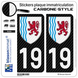 2 Stickers plaque immatriculation Auto 19 Nouvelle-Aquitaine - LT Carbone-Style