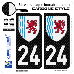 2 Stickers plaque immatriculation Auto 24 Nouvelle-Aquitaine - LT Carbone-Style