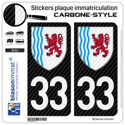 2 Stickers plaque immatriculation Auto 33 Nouvelle-Aquitaine - LT Carbone-Style