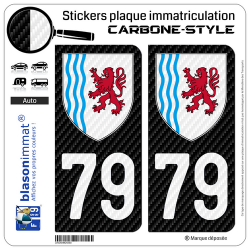 2 Stickers plaque immatriculation Auto 79 Nouvelle-Aquitaine - LT Carbone-Style