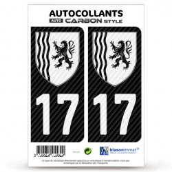 2 Stickers plaque immatriculation Auto 17 Nouvelle-Aquitaine - LT bi-ton Carbone-Style
