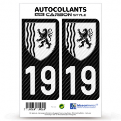 2 Stickers plaque immatriculation Auto 19 Nouvelle-Aquitaine - LT bi-ton Carbone-Style