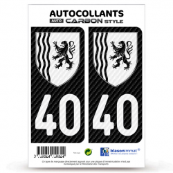 2 Stickers plaque immatriculation Auto 40 Nouvelle-Aquitaine - LT bi-ton Carbone-Style