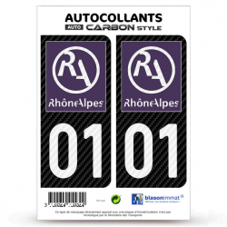 2 Stickers plaque immatriculation Auto 01 Rhône-Alpes - LT II Carbone-Style